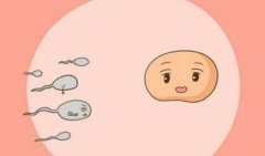 重庆第三代试管价格明细及费用构成介绍