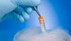 如何判断鲜胚移植成功？这些成功征兆提前了解
