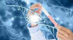 鲜胚与囊胚的存活率对比,及遗传疾病筛查对比