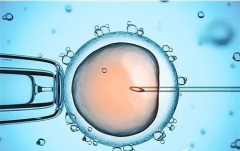 分享宜昌三代试管费用，包生儿子花多少钱？