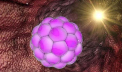 胚胎移植反复失败是为什么？这些办法帮你提高成功率！