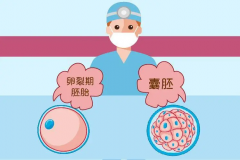 鲜胚移植后，出现哪些症状代表胚胎着床成功？