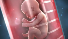 31岁试管攻略：长方案VS短方案，哪种更适合你？