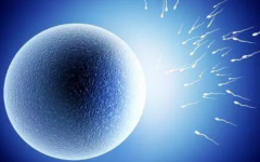 2024重庆妇幼保健院不孕不育专家排名揭晓，权威医生推荐！