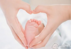 高龄试管不再是谜！繁琐流程全面解析，操作步骤一网打尽！