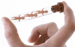  0pn胚胎养囊成功关键揭秘：掌握这些，移植可能性大增！