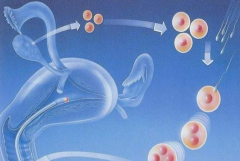 都匀试管医院揭秘,哪家强？内附医院介绍与费用明细解析！