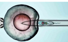 试管治疗，青海省人民医院费用清单来了！2024年成功率解析不容错过！