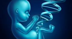 金华人民医院试管助孕之旅：真实经历分享，成功率解析！