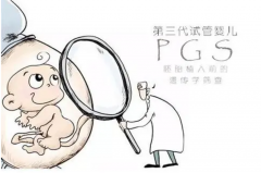 高龄移植一级优胚：影响几何？成功率因素全面解析！