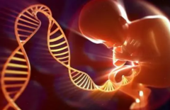 长沙单身女性试管可行性探讨：为何她们也能拥抱生育梦想？