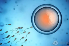 试管龙凤胎费用全解析：大概需要多少？费用影响因素大揭秘！