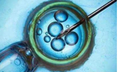 海口三代试管包生'男'孩费用揭秘：高价背后的真相，警惕低价陷阱！