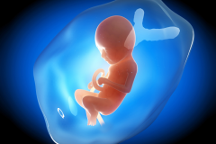 新乡试管医院大盘点！单次费用一看就明白，不再迷茫！