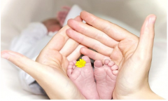 泰国试管包成功真相：泰国试管行业现状大起底