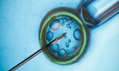 导致试管受孕失败的原因有哪些？提高试管移植成功率的方式有哪些？