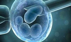 日本微刺激取卵技术介绍，日本微刺激取卵技术的效果优势