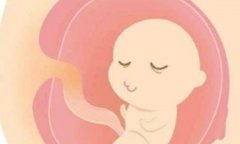 马来西亚的试管医院与技术，选择马来西亚进行试管治疗的原因