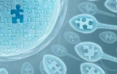 青岛三代试管基本费用及其他相关费用