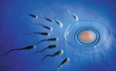 马来西亚试管费用概览，马来西亚试管详细收费项目