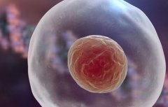 如何选择合适的三代试管医院，三代试管费用收费方式