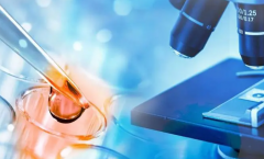 无锡三代试管包成功价格揭秘：三大流程收费项目全览