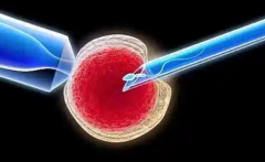 2024陕西试管报销政策解读：条件到范围一文读懂