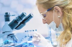 新加坡试管现状，包括流程和价格等