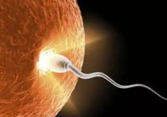 高龄失独家庭试管之路：揭秘2大关键因素与必备注意事项！