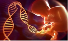 试管门槛揭秘,基础卵泡数量需达标，五个为起点！