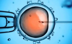 吉林三代试管费用构成，吉林三代试管生'男'孩的具体流程