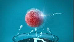 三代试管技术在蚕豆病筛查中的应用，蚕豆病做试管的好处有哪些？