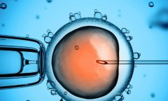 试管所需资料和证件，做试管为什么需要这些证件？