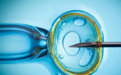 三天胚胎与五天胚胎对试管成功率的影响