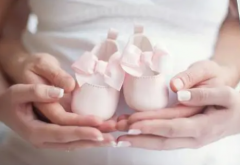 试管诞生记：从促排到移植的每一步揭秘！