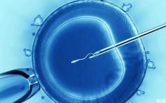 如何提高试管成功率？需注意以下几件事！