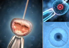 试管胚胎移植前禁忌：同房需避免，孕期同房更需遵循医生建议！