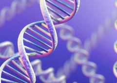 赴日试管前必备攻略：四大套餐费用差异详解