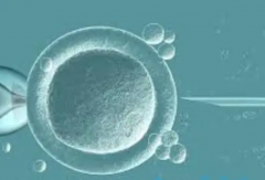 试管超长方案的费用探讨及明细公示