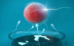 韶关妇幼保健院2024年试管助孕成功率揭秘！