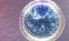 微刺激取卵2个，移植机会并非无望！深度解析试管成功率