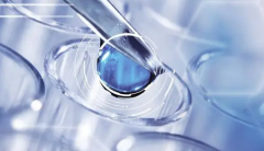 跨国求子新选择：俄罗斯试管证件与流程全解析