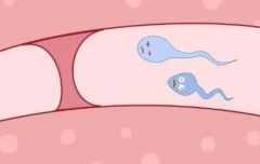 试管取卵后黄金恢复期：饮食与休息的全面指南！