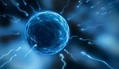 试管移植第5天失眠会对着床产生影响吗？哪些方法可拯救！