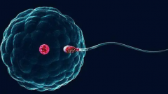  一二代试管胚胎质量大揭秘：谁才是优胜者？