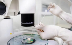 试管一代长方案全面解析：优劣势对比