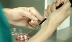 揭秘试管移植降调14天全流程，助您好孕一臂之力！