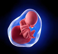 赴台湾进行试管的理由与五大优势，一文全知道！