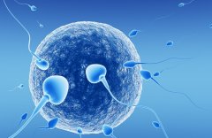 香港做试管需要结婚证的相关规定及治疗流程