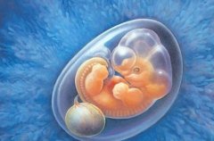 如何提高高龄试管婴儿成功率？这些建议赶紧收藏